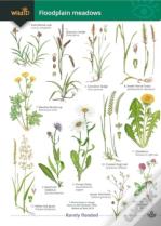 Guide To Floodplain Meadows