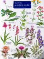 Guide To Grassland Plants 2
