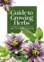 Guide To Growing Herbs - Preview