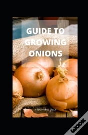 Capa do artigo Guide To Growing Onions