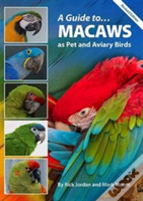 Guide To Macaws As Pet & Aviary Birds
