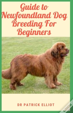 Capa do artigo Guide To Newfoundland Dog Breeding For Beginners