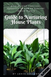 Guide To Nurturing House Plants