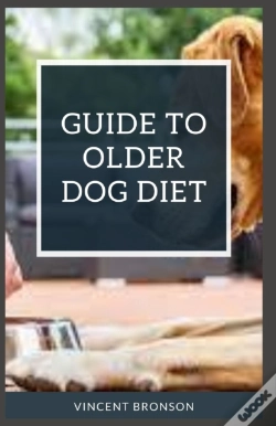 Capa do artigo Guide To Older Dog Diet