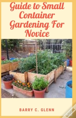 Capa do artigo Guide To Small Container Gardening For Novice