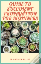 Capa do artigo Guide To Succulent Propagation For Beginners