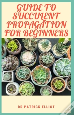 Capa do artigo Guide To Succulent Propagation For Beginners