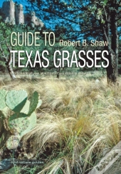 Guide To Texas Grasses