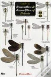 Guide To The Dragonflies And Damselflies Of Britain