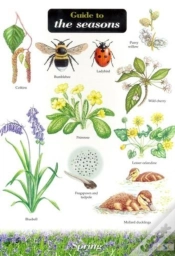 Capa do artigo Guide To The Seasons