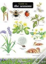 Guide To The Seasons