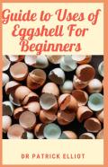 Guide To Uses Of Eggshell For Beginners