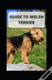 Capa do artigo Guide To Welsh Terrier