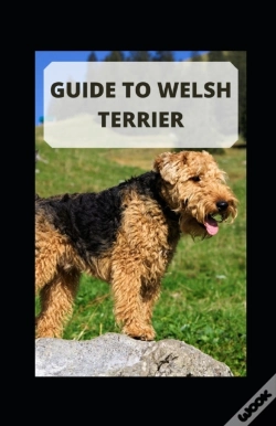 Capa do artigo Guide To Welsh Terrier