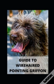 Capa do artigo Guide To Wirehaired Pointing Griffon