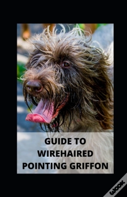 Capa do artigo Guide To Wirehaired Pointing Griffon