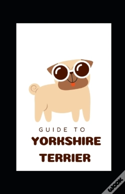 Capa do artigo Guide To Yorkshire Terrier