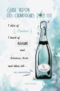 Guide Veron Des Champagnes 2021 - English Version - Preview