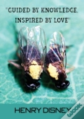 Guided By Knowledge, Inspired By Love