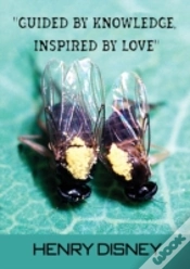 Capa do artigo Guided By Knowledge, Inspired By Love