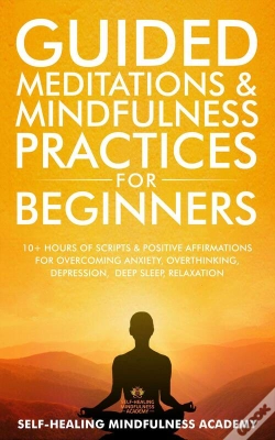 Capa do artigo Guided Meditations & Mindfulness Practices For Beginners