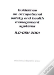 Capa do artigo Guidelines On Occupational Safety And Health Management Systems