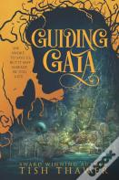 Guiding Gaia