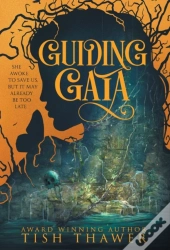 Guiding Gaia