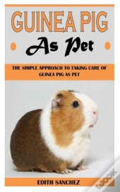 Guinea Pig As Pet