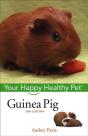 Guinea Pig - Preview