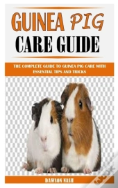 Guinea Pig Care Guide