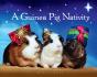 Guinea Pig Nativity - Preview