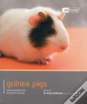 Capa do artigo Guinea Pig - Pet Friendly