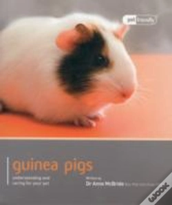 Capa do artigo Guinea Pig - Pet Friendly
