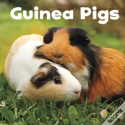 Capa do artigo Guinea Pigs