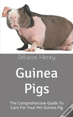 Capa do artigo Guinea Pigs