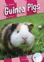 Guinea Pigs - Preview