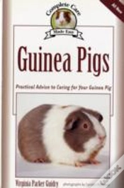 Capa do artigo Guinea Pigs