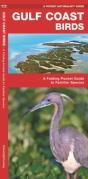 Gulf Coast Birds - Preview