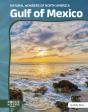 Gulf Of Mexico - Preview