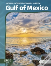 Capa do artigo Gulf Of Mexico