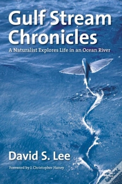 Capa do artigo Gulf Stream Chronicles