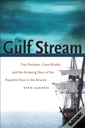 Capa do artigo Gulf Stream