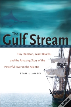 Capa do artigo Gulf Stream