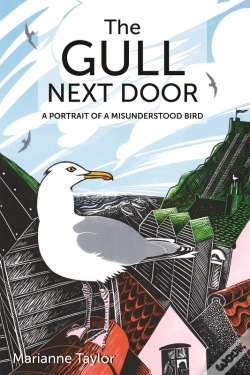 Capa do artigo Gull Next Door