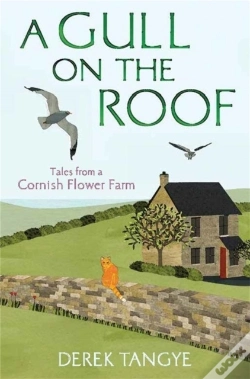 Capa do artigo Gull On The Roof