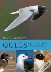 Capa do artigo Gulls Of The World