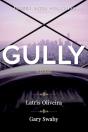 Gully - Preview