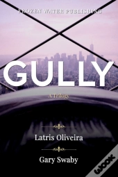 Gully