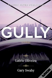 Capa do artigo Gully